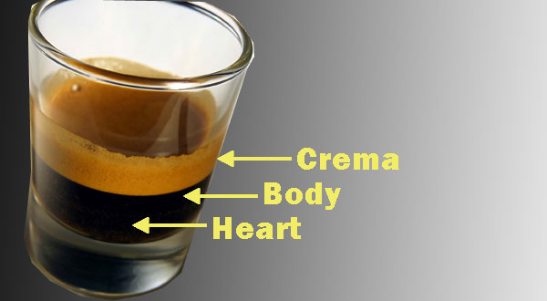 The Body of an Espresso Shot – The Lucid Enclave